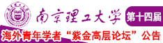 男人和女人靠逼国产南京理工大学第十四届海外青年学者紫金论坛诚邀海内外英才！